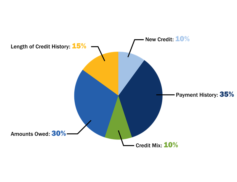 FICO-Model Pie Chart WIth Components of Credit Score