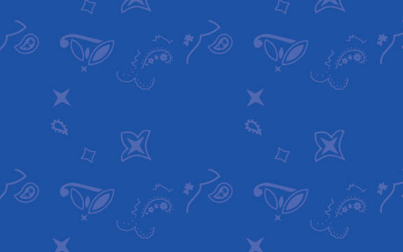 Paisley Pattern on Blue Background