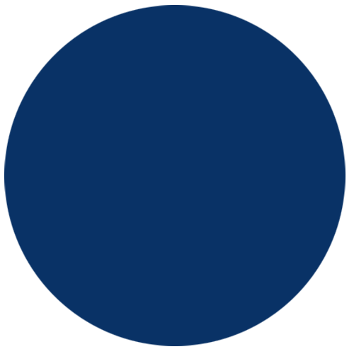 Primary Blue Circle