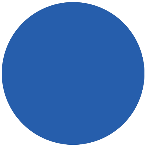 Secondary Blue Circle