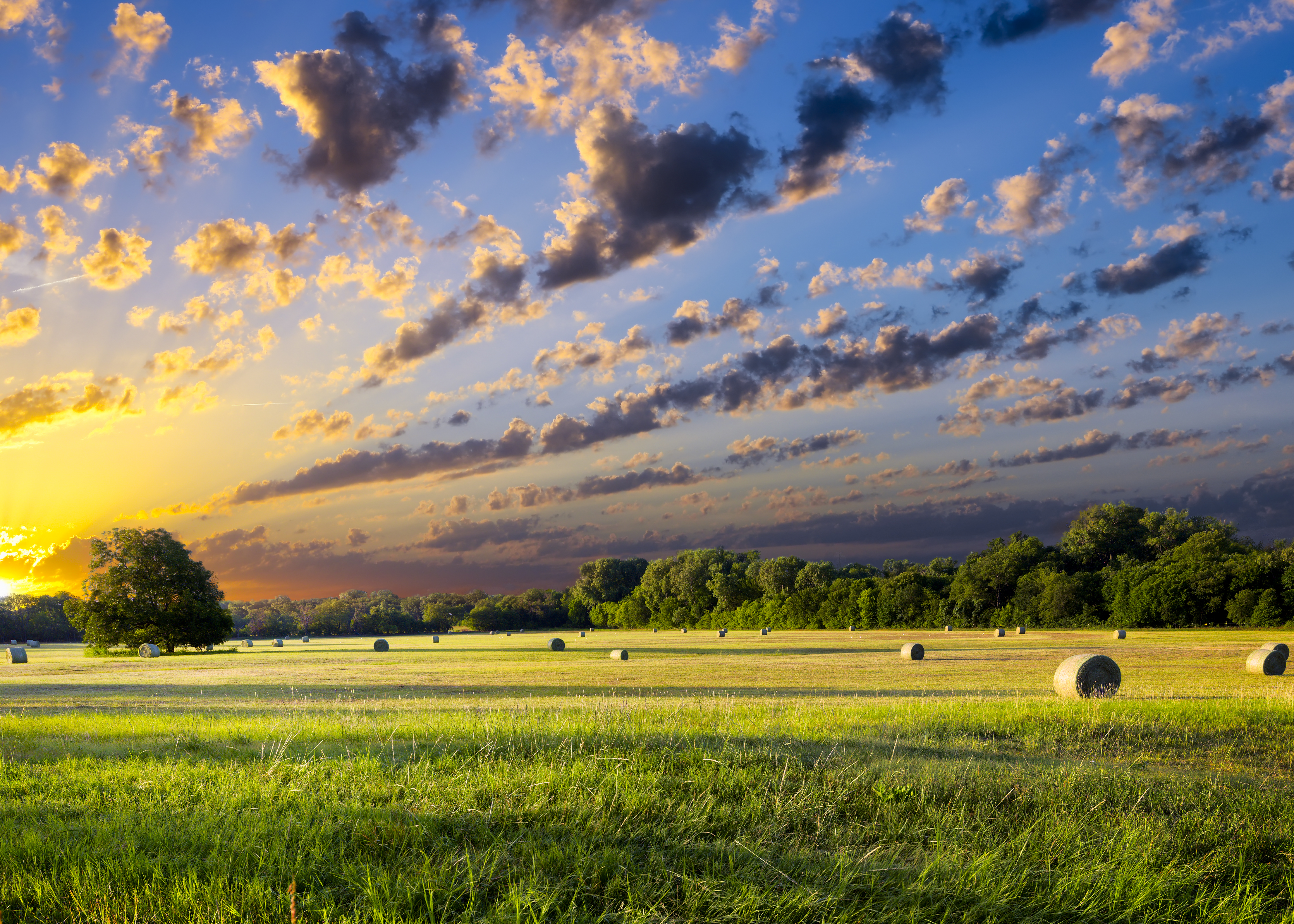 shutterstock_204699181 shutterstock_204699181
